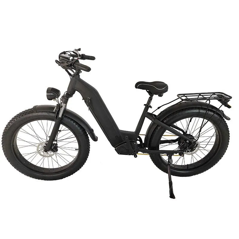 All-terrain Fat Tire Electric Mountain Bike