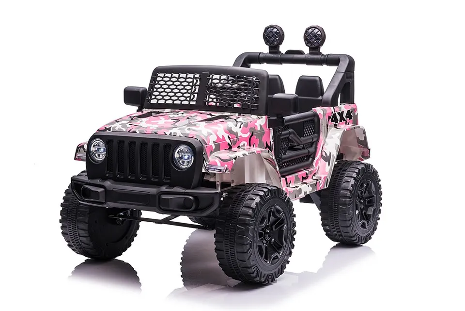 कारों में बच्चों की सवारी