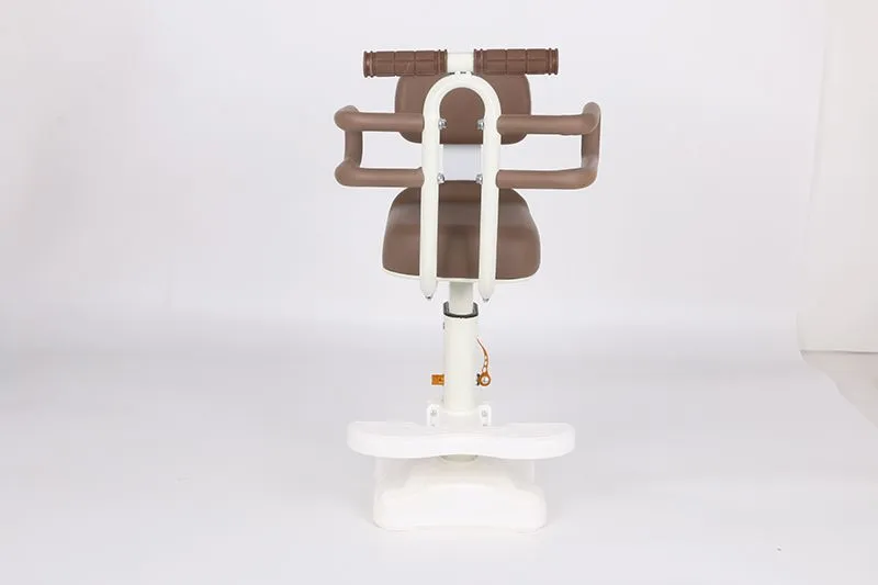 इलेक्ट्रिक साइकिल चाइल्ड सीट