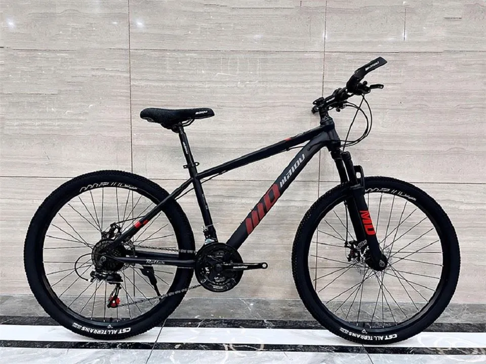 विशिष्ट बाइक माउंटेन