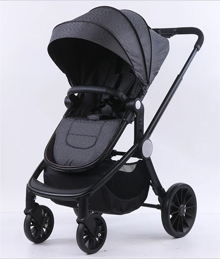 नवोन्मेष उजागर: शिशु घुमक्कड़ों का विकास