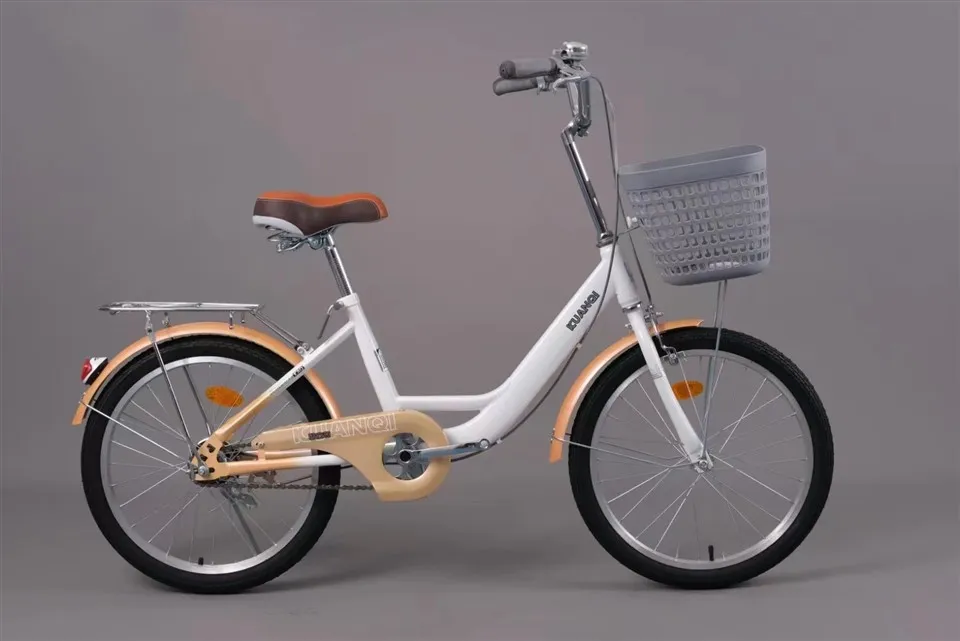 Student Bicycle