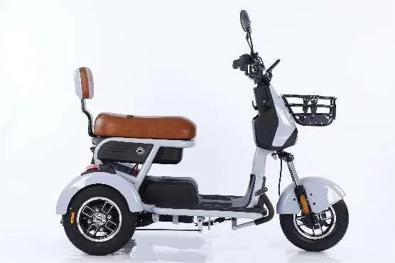 तीन पहिया इलेक्ट्रिक साइकिलें